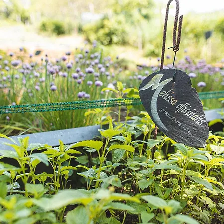 מלון Muehle Am Schlossberg Wartenberg-Rohrbach